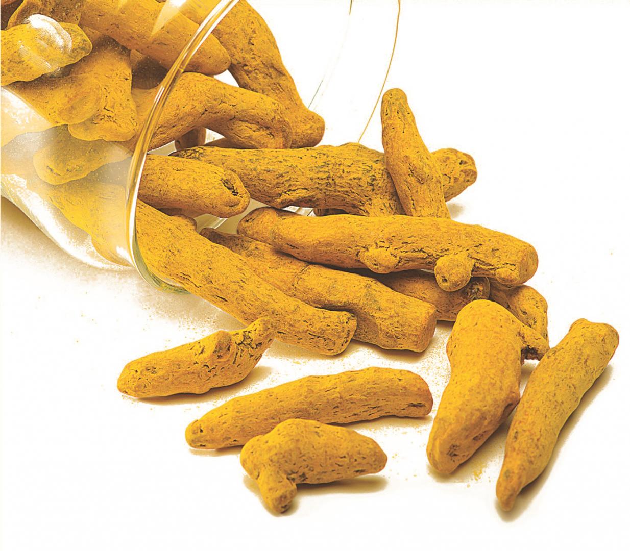 Premium Quality Organic Ceylon Turmeric from Sri Lanka Ekowarehouse